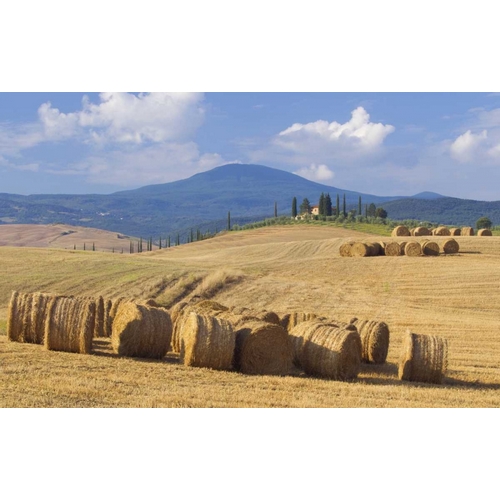 Italy, San Quirico dOrcia Bales of hay and farm